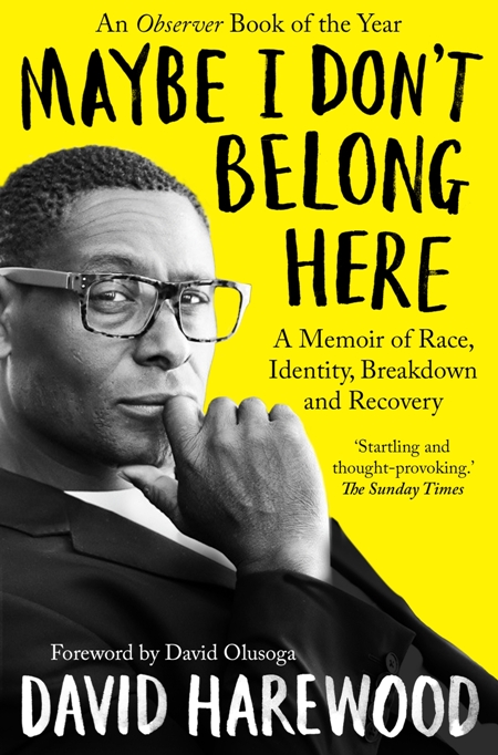Maybe I Don't Belong Here : A Memoir of Race, Identity, Breakdown and Recovery